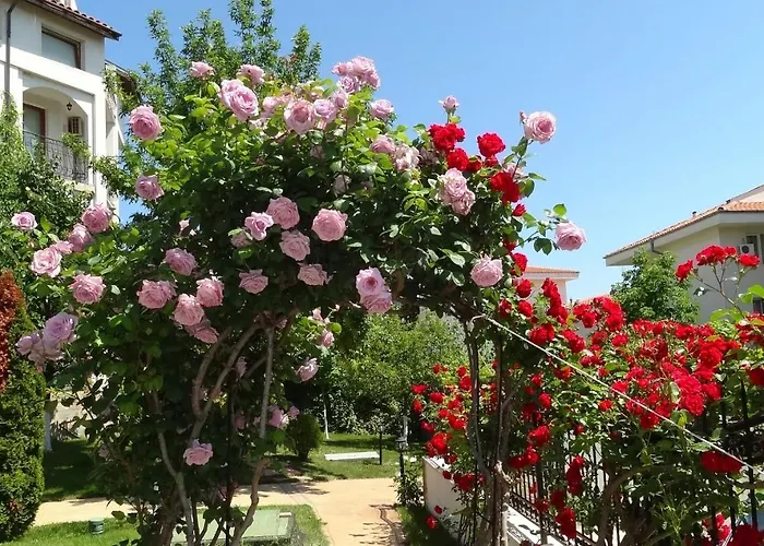 триумф жилой комплекс 4* Свети-Влас